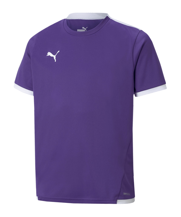 PUMA teamLIGA Trikot Kids Lila F10 - lila