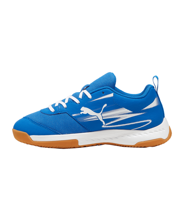 PUMA Varion II Schuh Kids Blau F03 - blau