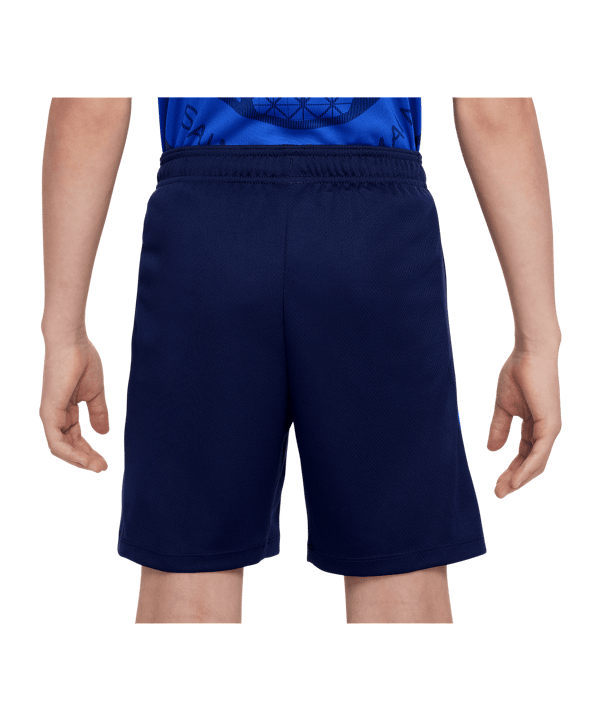 Nike Paris Saint-Germain Strike Short Kids Blau F410 - blau