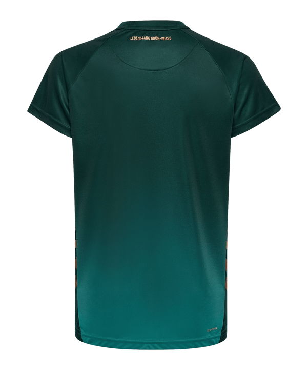 Hummel SV Werder Bremen Trikot 3rd 2025/2026 Kids Grün F6108 - gruen