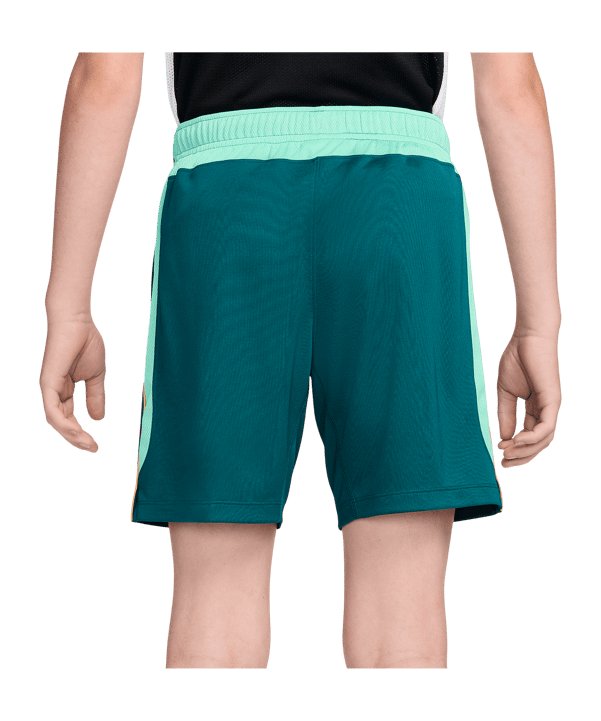 Nike CBF Brasilien Academy Pro Short Kids Grün F381 - gruen