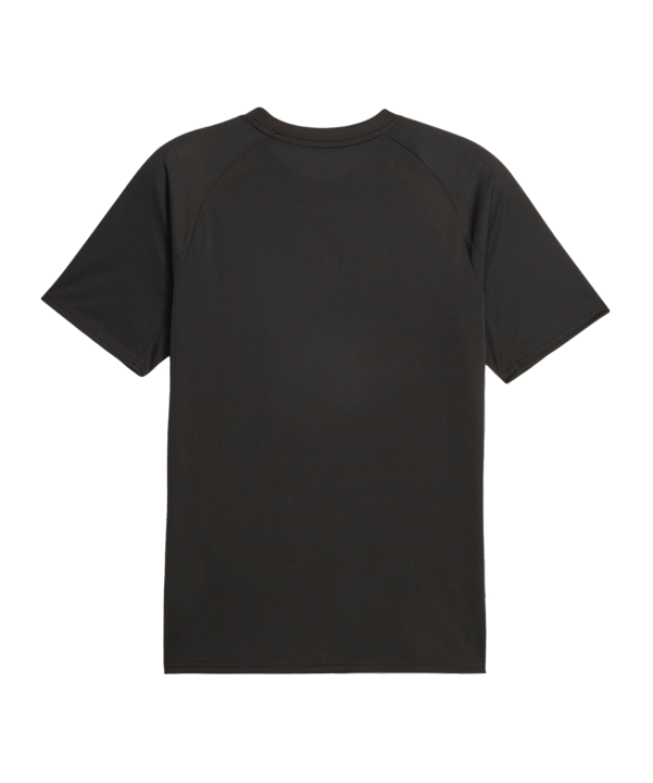 PUMA BVB Dortmund Prematch Shirt 2023/2024 Schwarz F01 - schwarz