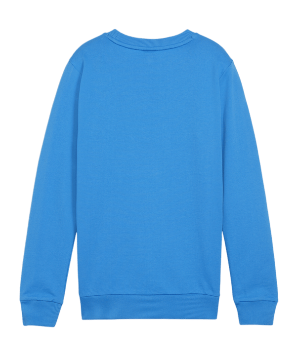 PUMA teamGOAL Casuals Sweatshirt Kids Blau F02 - blau