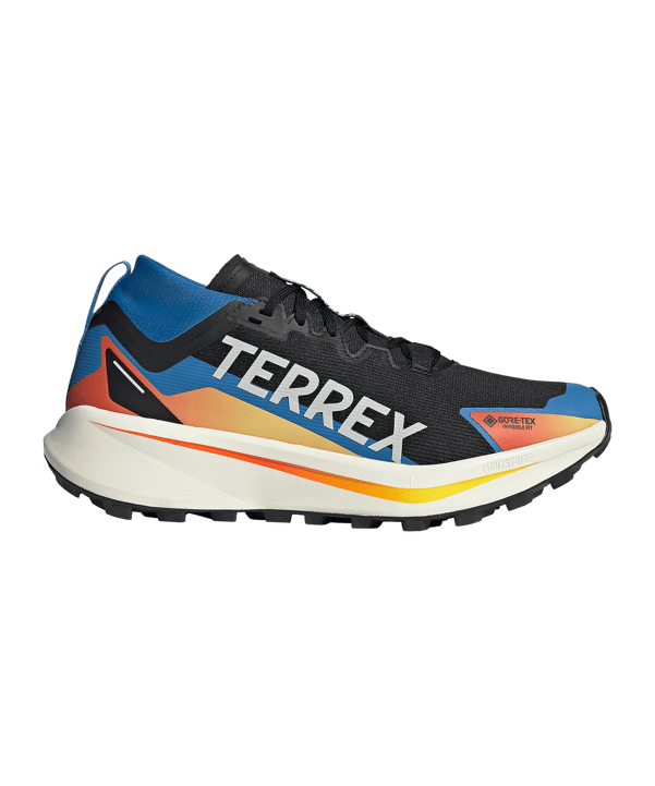 adidas TERREX Agravic GTX Laufschuh Schwarz - schwarz