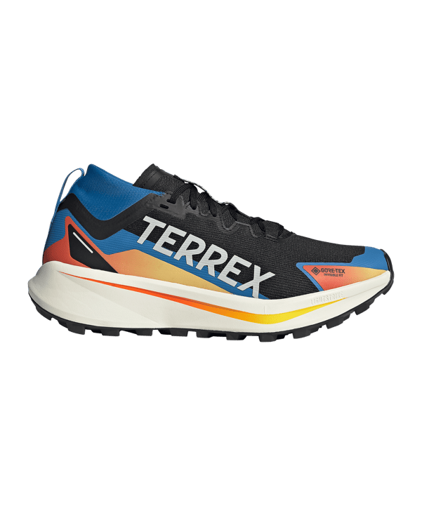 adidas TERREX Agravic GTX Scarpe da running Nero - nero