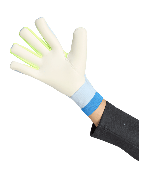 adidas Predator Pro Guanti da portiere Blu - blu