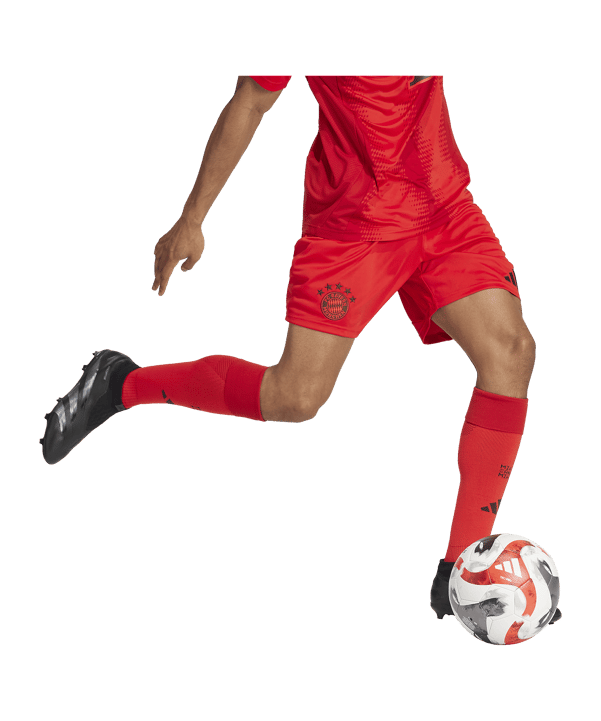 adidas FC Bayern München Short Home 2024/2025 Rot - rot