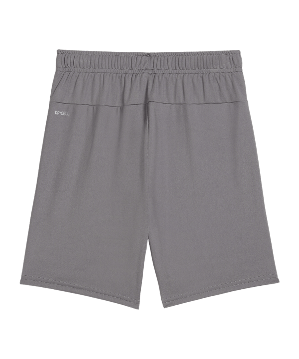 PUMA teamGOAL Short Kids Grau Weiss F13 - grau
