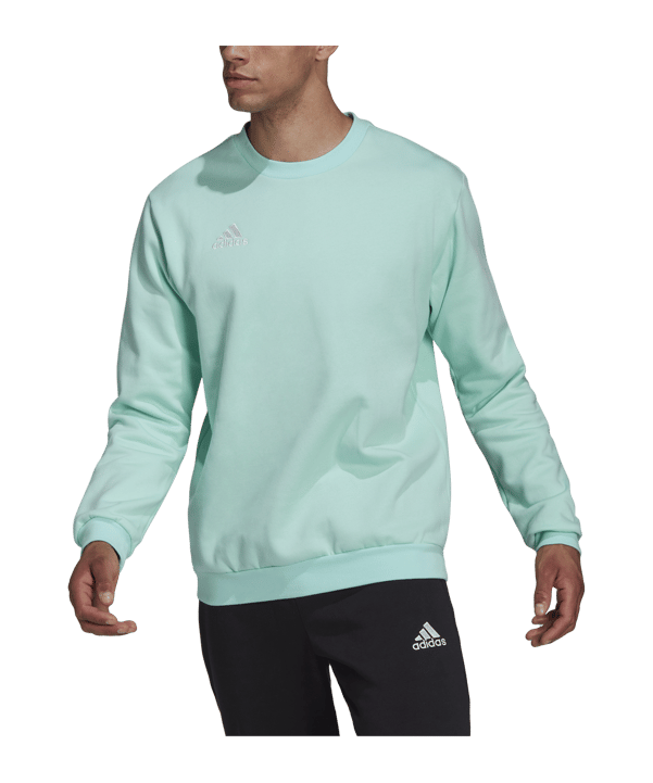 adidas Entrada 22 Sweatshirt Türkis - tuerkis