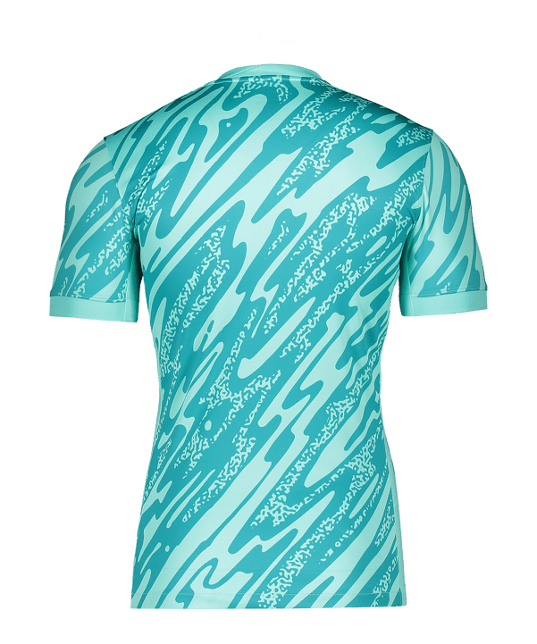 Nike Gardien V Torwarttrikot Türkis F354 - tuerkis