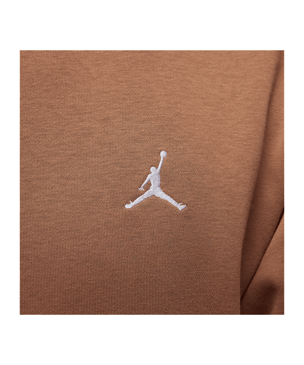 Jordan Brooklyn Fleece Hoody Braun F223 - braun