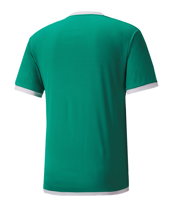 PUMA teamLIGA Trikot Grün F05 - gruen