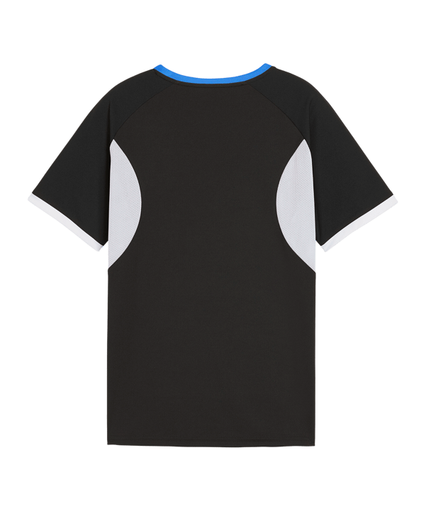 PUMA Individualliga Graphic Trikot Kids Schwarz F09 - schwarz