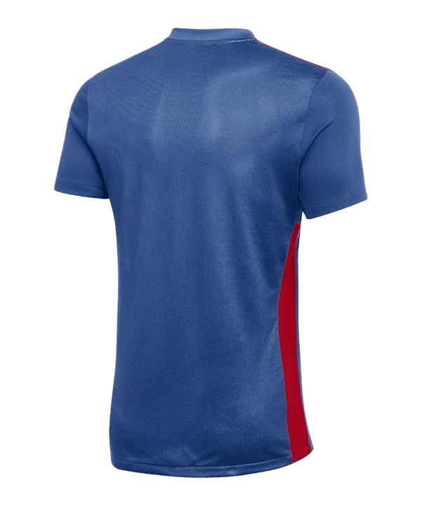 Nike Park Derby IV Trikot Kids Blau Rot F464 - blau