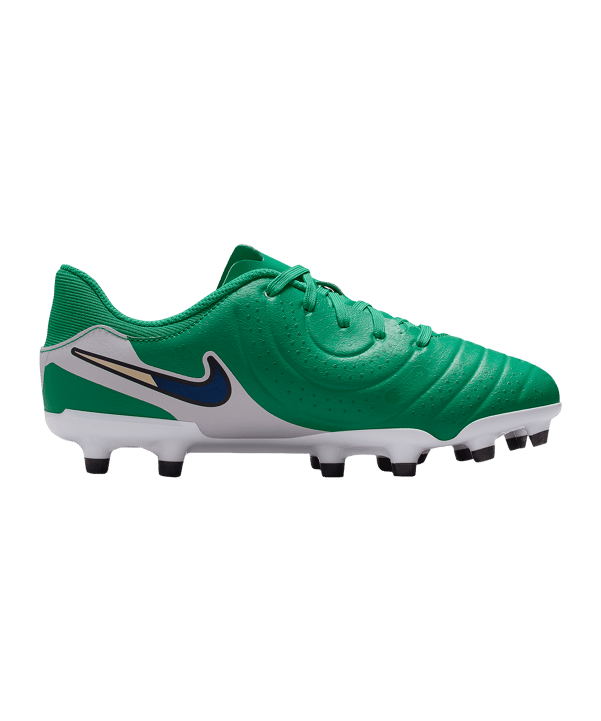 Nike Legend 10 Academy LV8 FG/MG Fear Nothing Kids Grün F300 - gruen