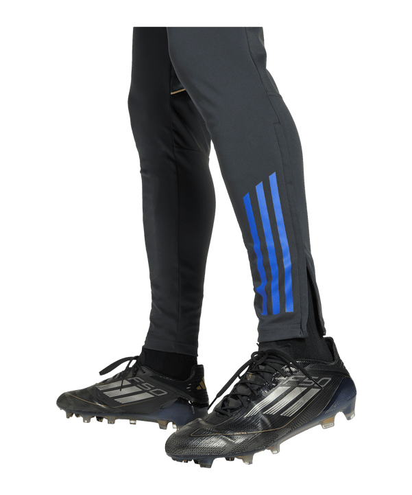 adidas Olympique Lyon Trainingshose Grau - grau