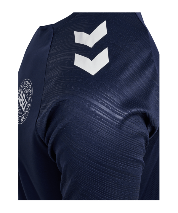 Hummel Dänemark Pro Trainingshirt Kids Blau F7026 - blau