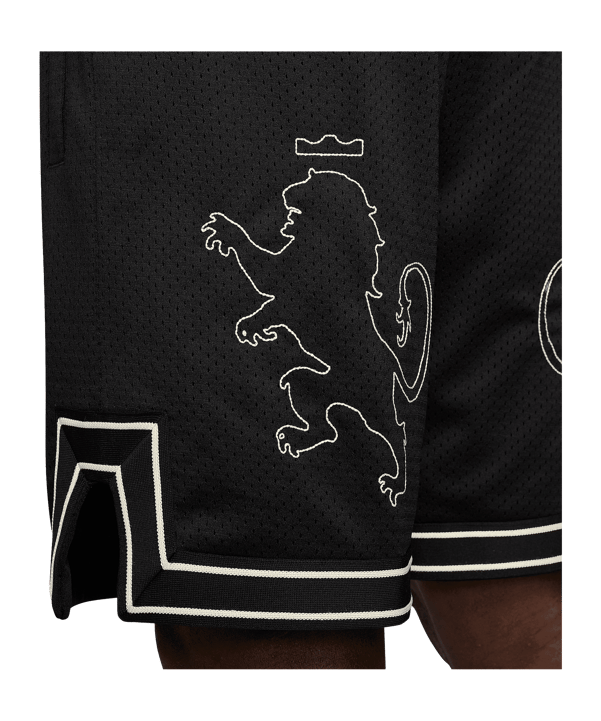 Nike LeBron 8In Short Schwarz F010 - schwarz