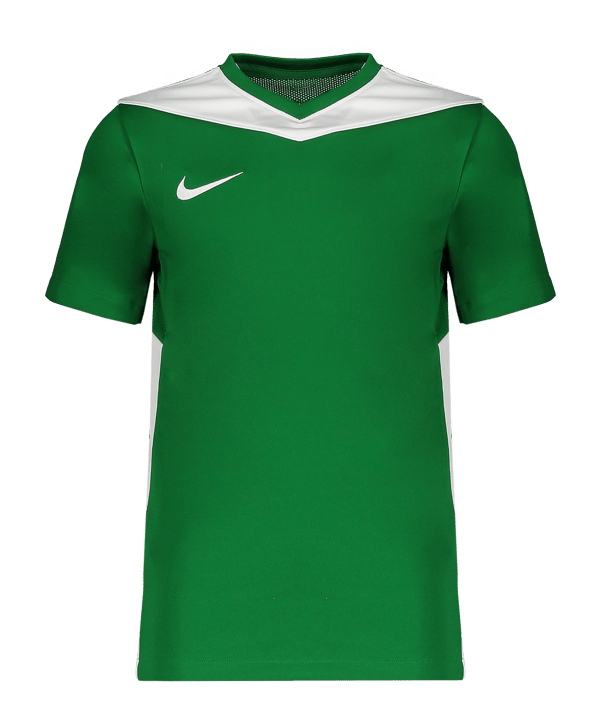 Nike Park Derby IV Trikot Kids Grün F302 - gruen