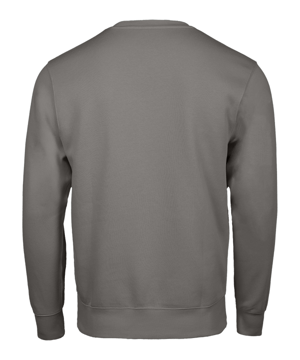 Nike Park 26 Swoosh  Sweatshirt Kids Grau F063 - grau