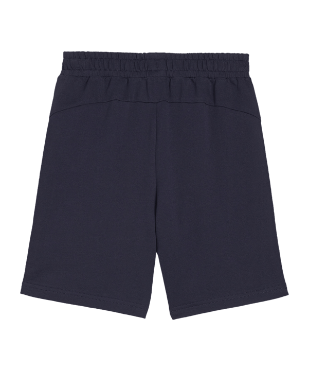PUMA teamGOAL Casuals Shorts Kids Blau F06 - dunkelblau