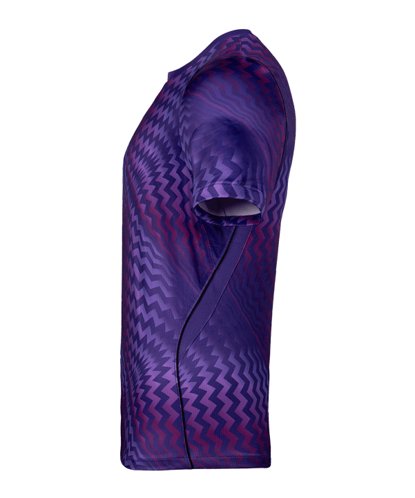 Nike Gardien VI Torwarttrikot Lila F507 - lila