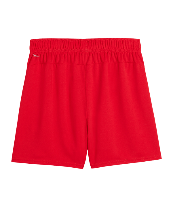 PUMA teamGOAL Short Damen Rot F01 - rot