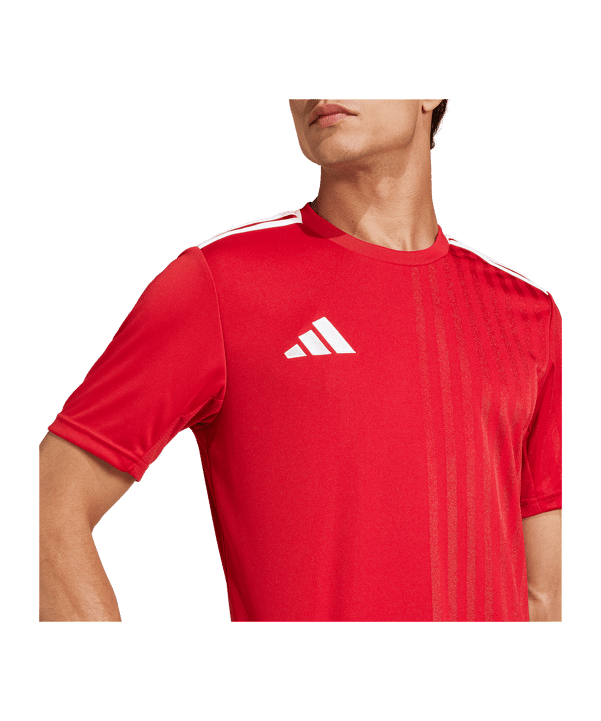 adidas Campeon 25 Trikot Rot - rot