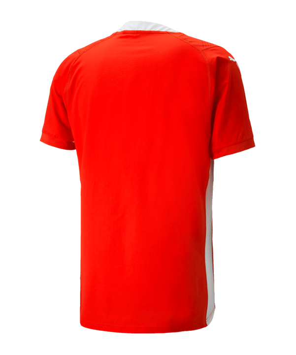 PUMA teamCUP Trikot Rot F01 - rot