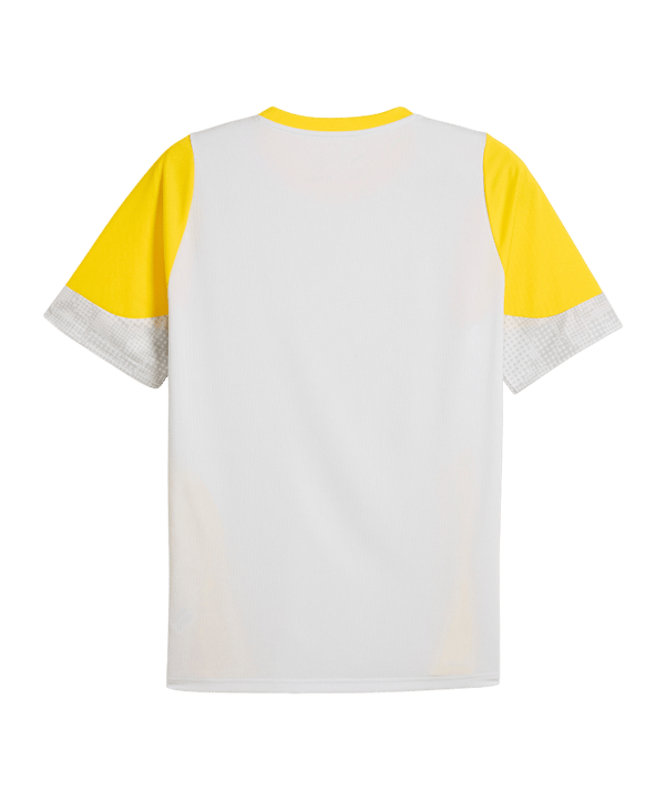 PUMA Borussia Dortmund Trainingsshirt Grau F18 - grau