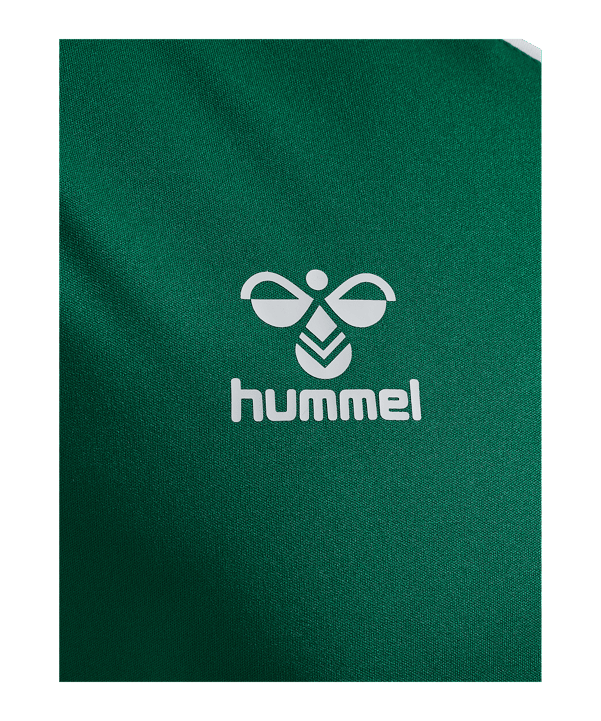 Hummel hmlCORE XK Poly Trikot Grün F6140 - gruen