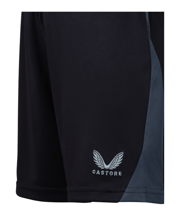 Castore Feyenoord Rotterdam Short Auswärts 2025/2026 Grau F128 - grau