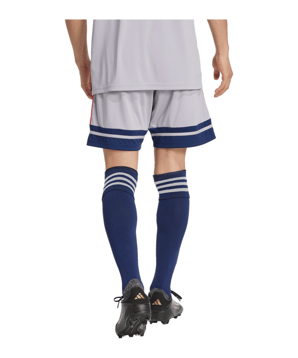 adidas Squadra 25 Short Grau - grau