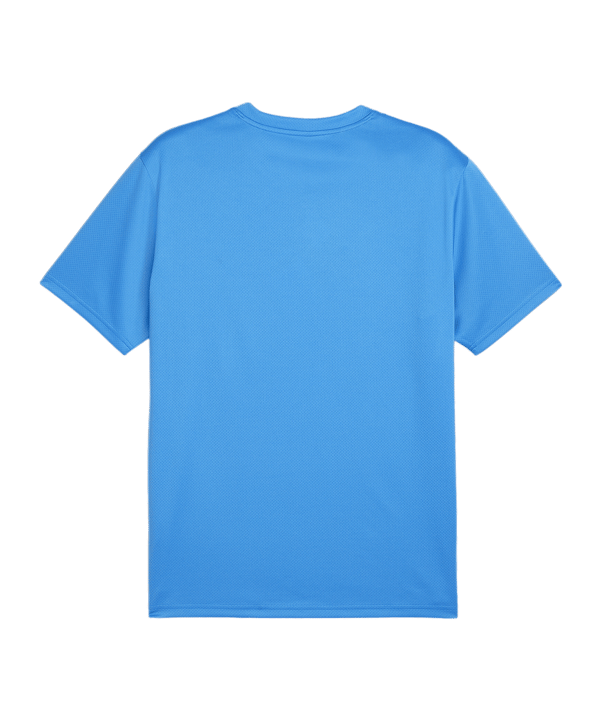 PUMA teamGOAL Trikot Blau F02 - hellblau