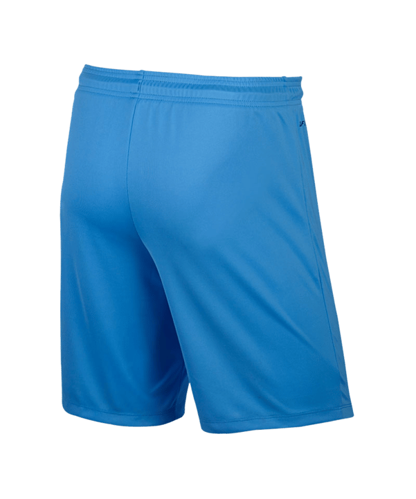 Nike Park II Short mit Innenslip Hellblau F412 - blau