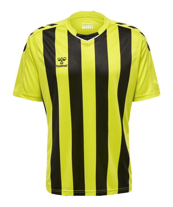 Hummel hmlCORE XK Striped Trikot Grün F5047 - gruen