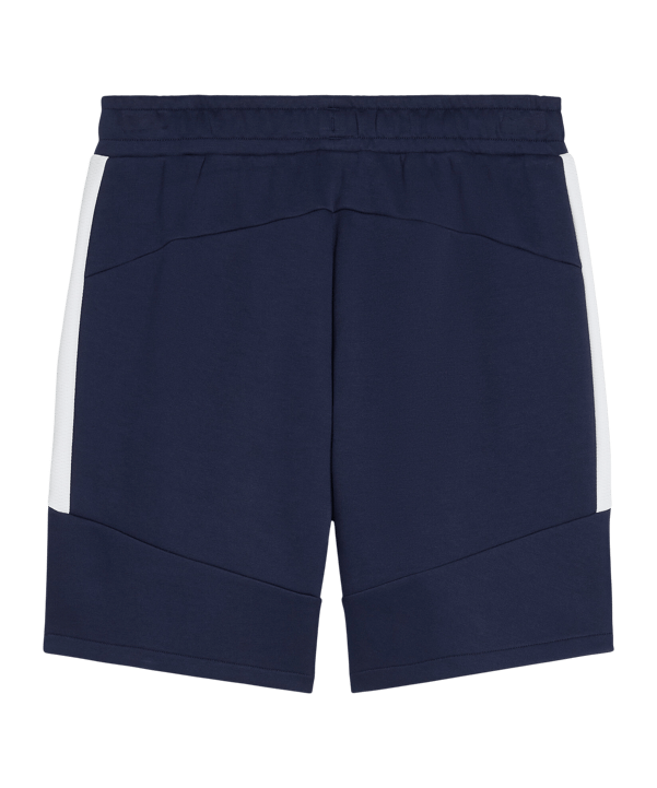 PUMA teamEVOSTRIPE Short Blau F06 - blau