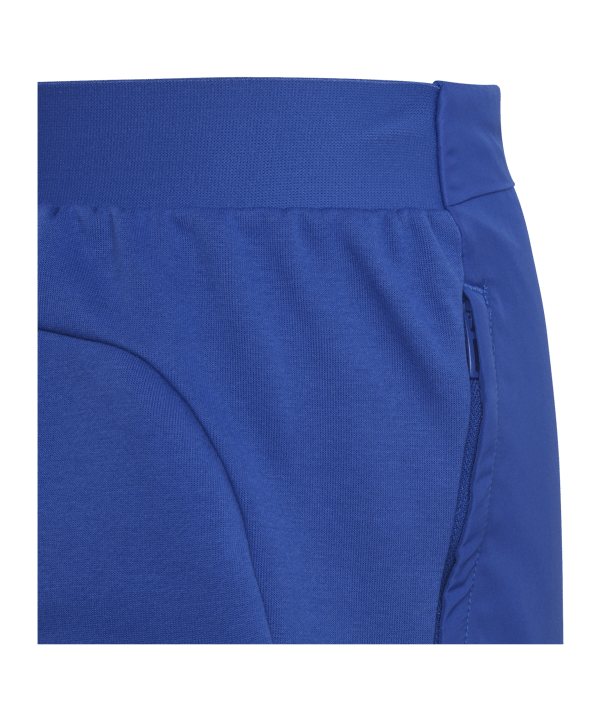 adidas D4GMDY Trainingshose Kids Blau Weiss - blau