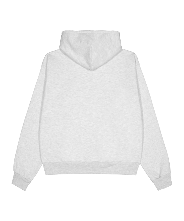 Noon Goons Icon Hoody Grau - grau