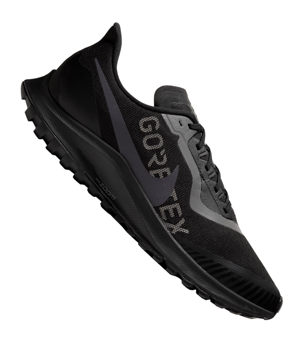 Nike Zoom Pegasus 36 Train GTX Running F001 - schwarz