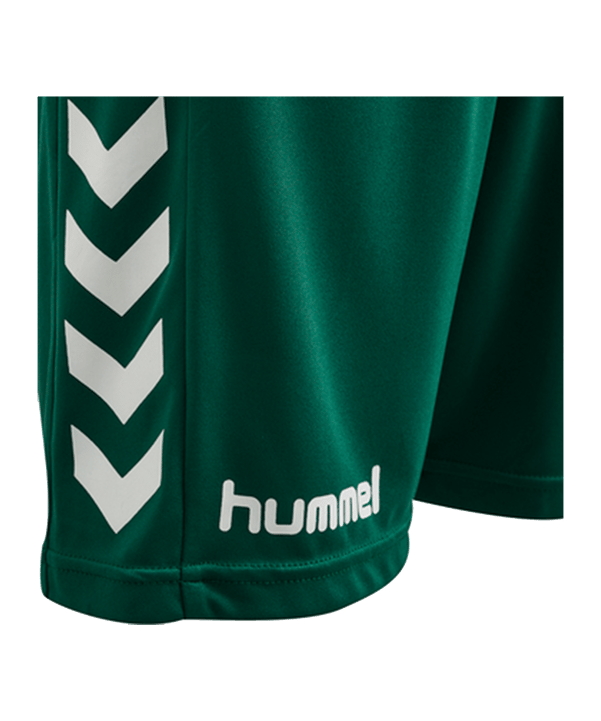 Hummel Core GK Torwarttrikotset Grün F6140 - gruen