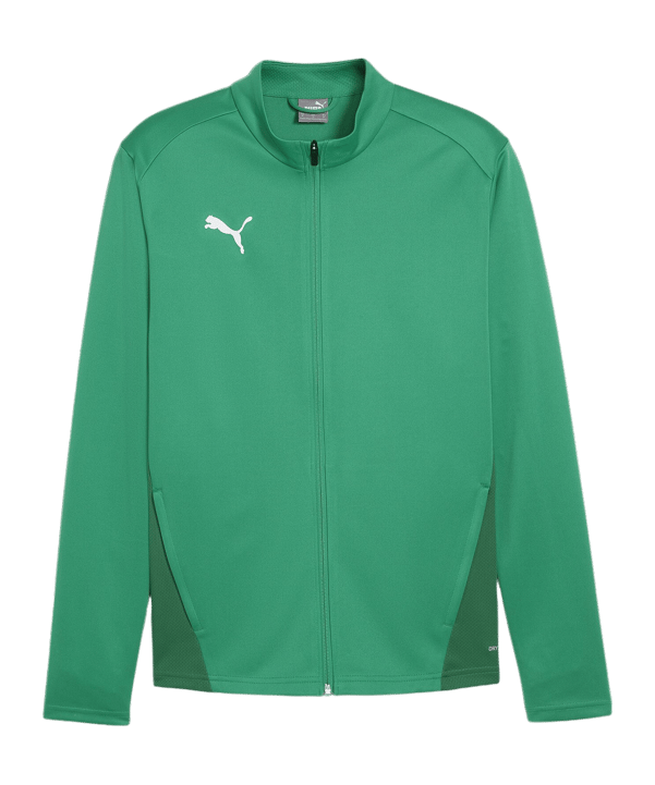 PUMA teamGOAL Trainingsjacke Grün F05 - gruen