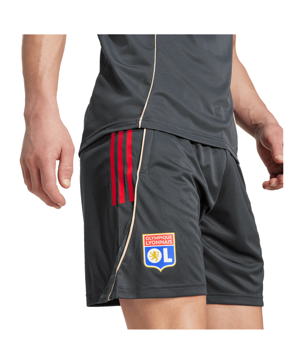 adidas Olympique Lyon Training Short Grau - grau