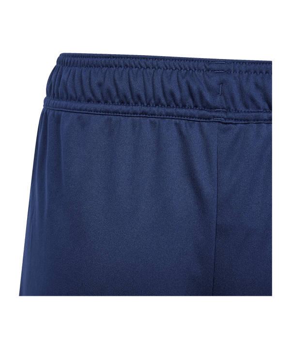 adidas Tiro 24 Training Short Kids Blau Weiss - blau