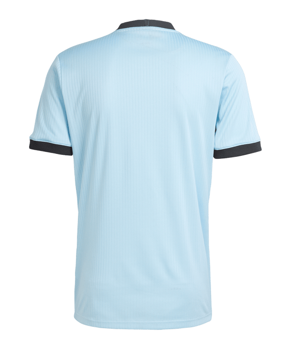 adidas DFB Deutschland 125th Anniversary Torwarttrikot Blau - blau