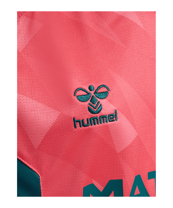 hummel SV Werder Bremen Shirt 3rd 2026/2027 Kinderen Rood K3945 - rood