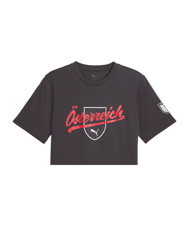 PUMA ÖFB Österreich FtblCulture T-Shirt Kids Grau F25 - grau
