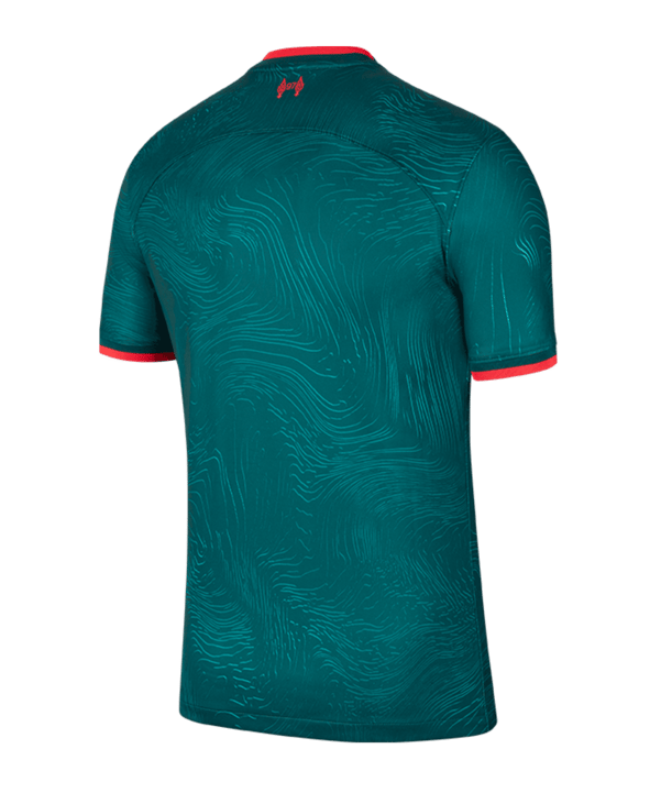 Nike FC Liverpool Trikot UCL 2022/2023 Grün F377 - gruen