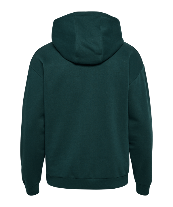 Hummel Loose Sportswear Hoody Grün F6565 - gruen