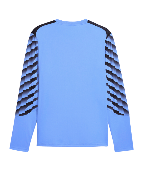 PUMA teamLIGA26 Torwarttrikot Langarm Blau F31 - blau
